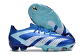 Adidas Predator Accuracy Paul Pogba. 1 FG