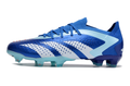 Adidas Predator Accuracy Paul Pogba. 1 FG