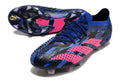 Adidas Predator Accuracy Paul Pogba.1 FG