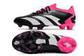 Adidas Predator Accuracy Paul Pogba.1 FG